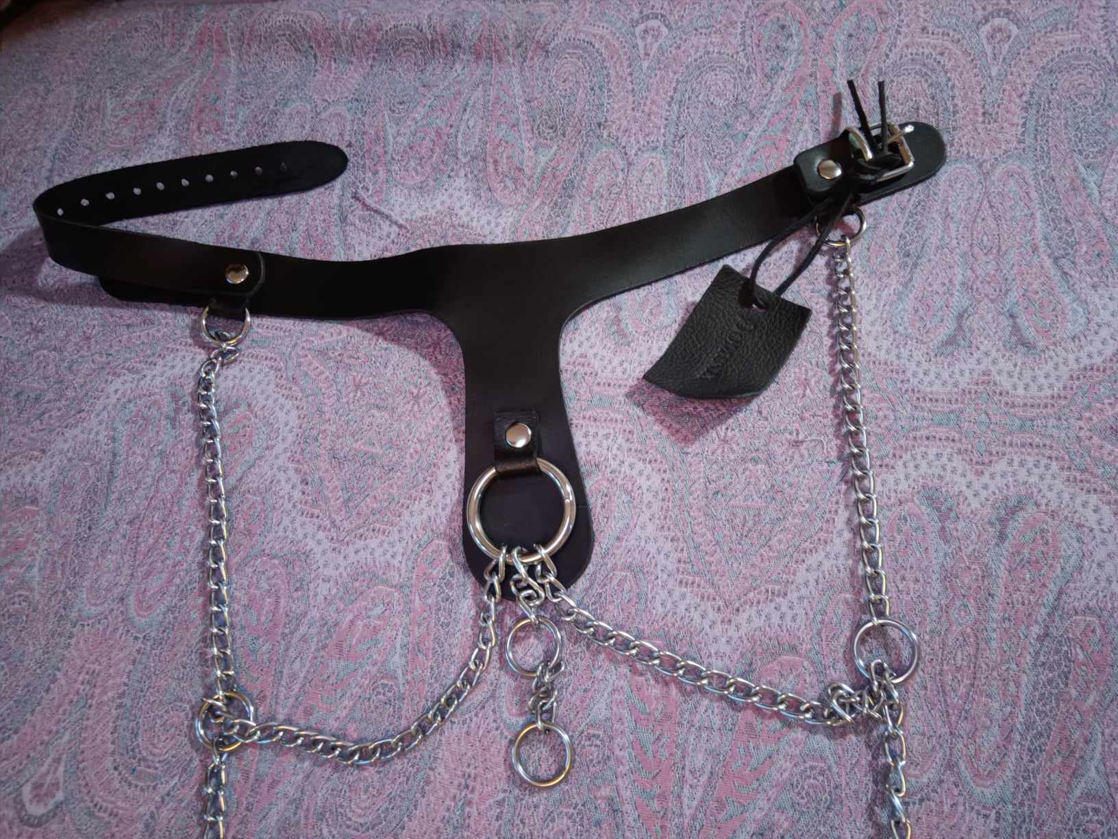 DOMINIX Deluxe Leather Collar with Clamps. Slide 9