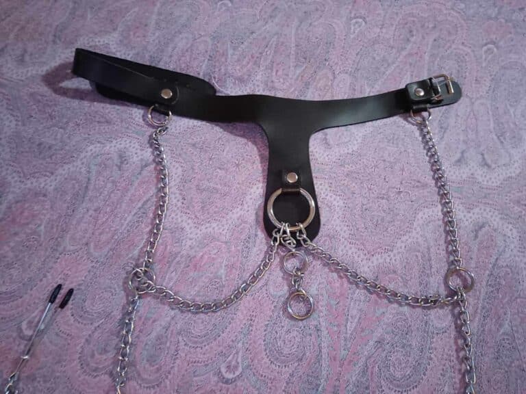 DOMINIX Deluxe Leather Collar with Clamps -  