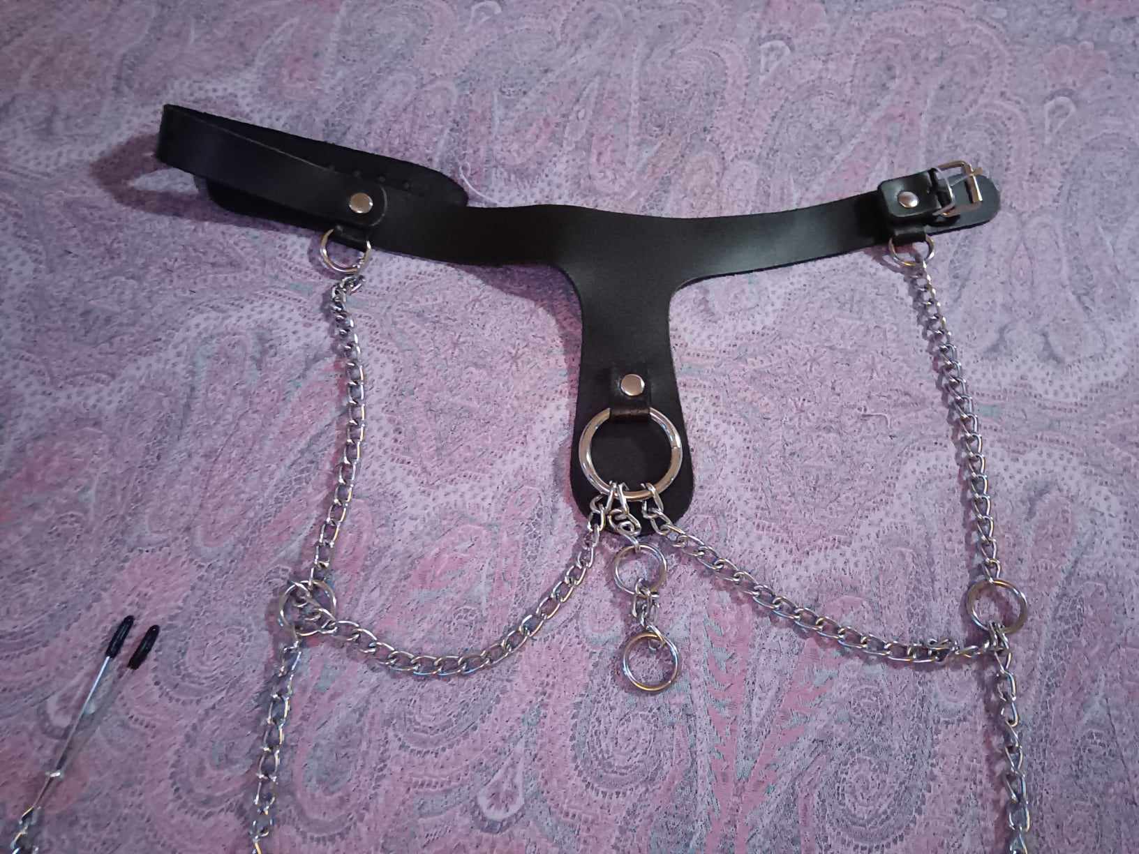 DOMINIX Deluxe Leather Collar with Clamps. Slide 7
