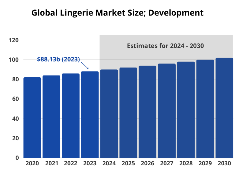 Global Lingerie Market Size (development from 2020 to 2030)
