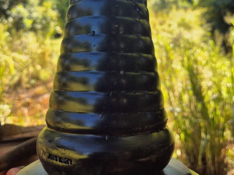 TitanMen Intimidator Anal Plug Review