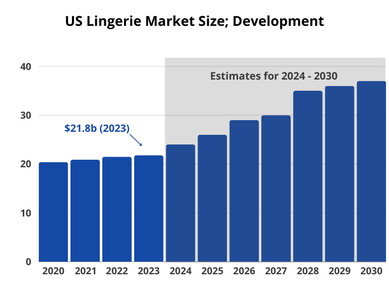 US Lingerie Market Size (development from 2020 to 2030)
