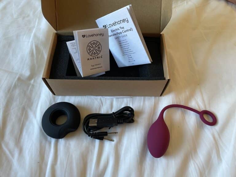 Mantric Rechargeable Remote Control Egg Vibrator -  