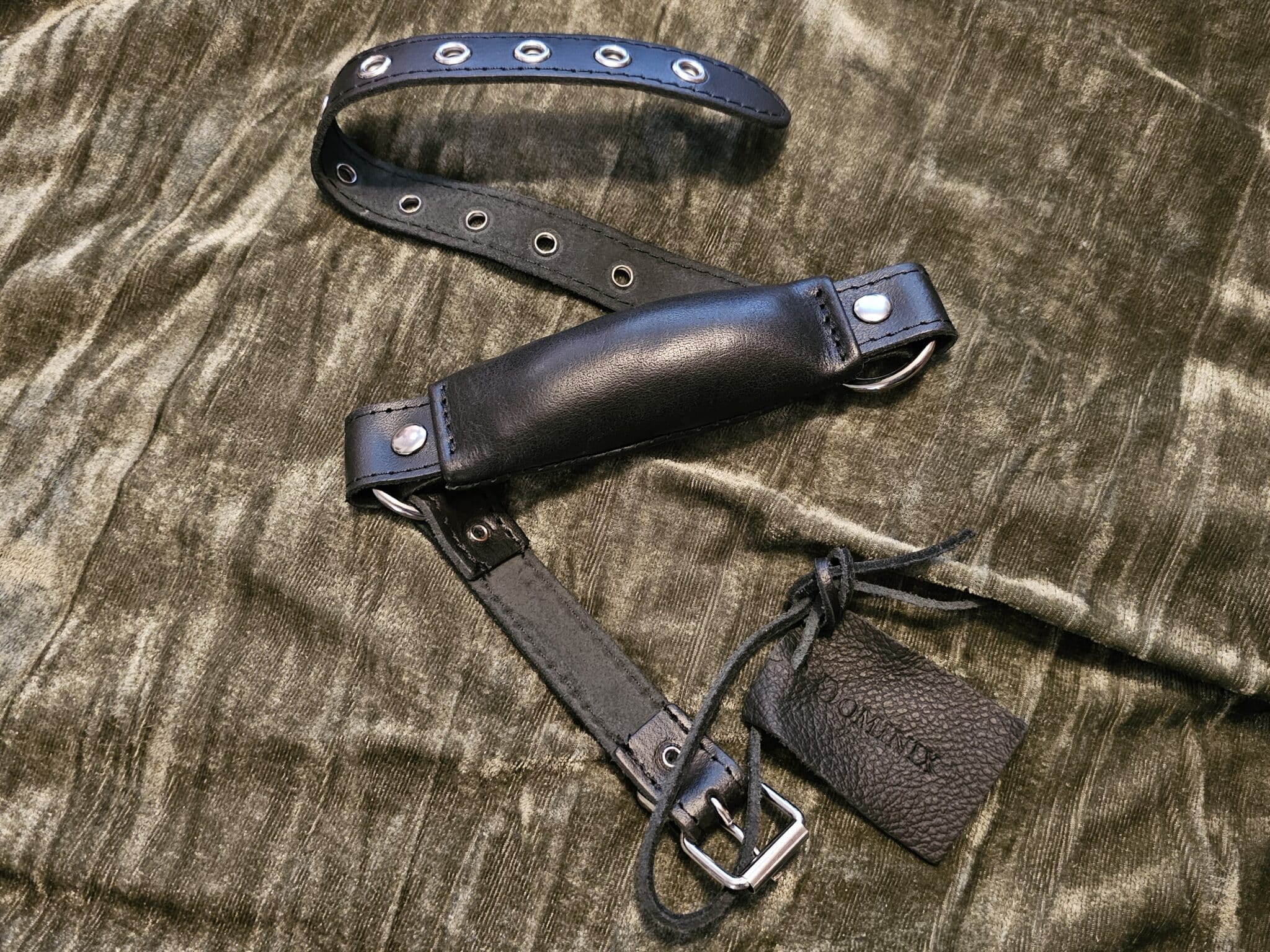 DOMINIX Deluxe Leather Bit Gag Review