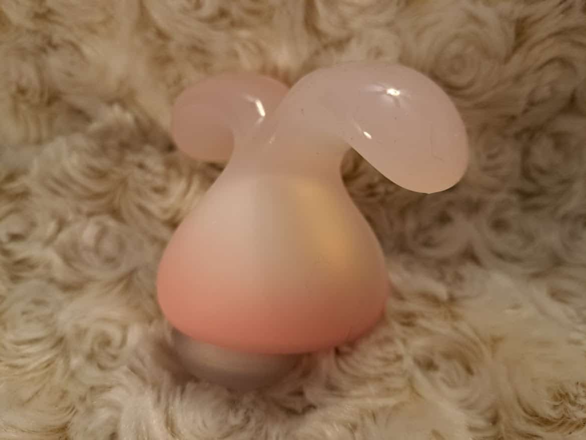 Dream Bunny Quality