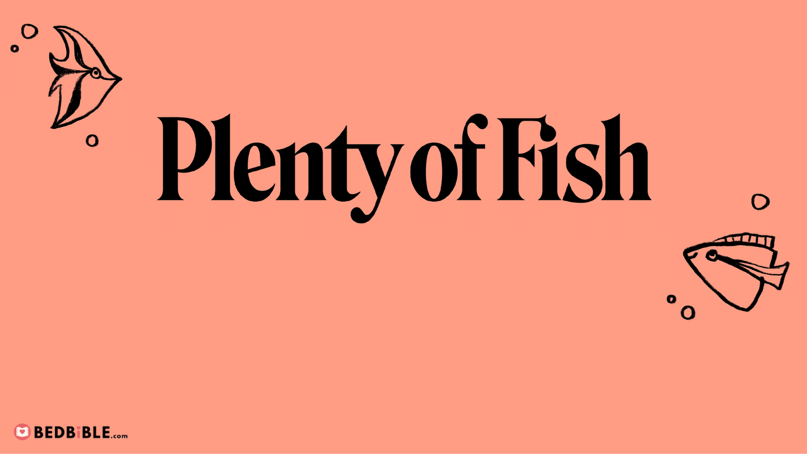 Plenty of Fish Statistics [Users, Revenue, Valuation]
