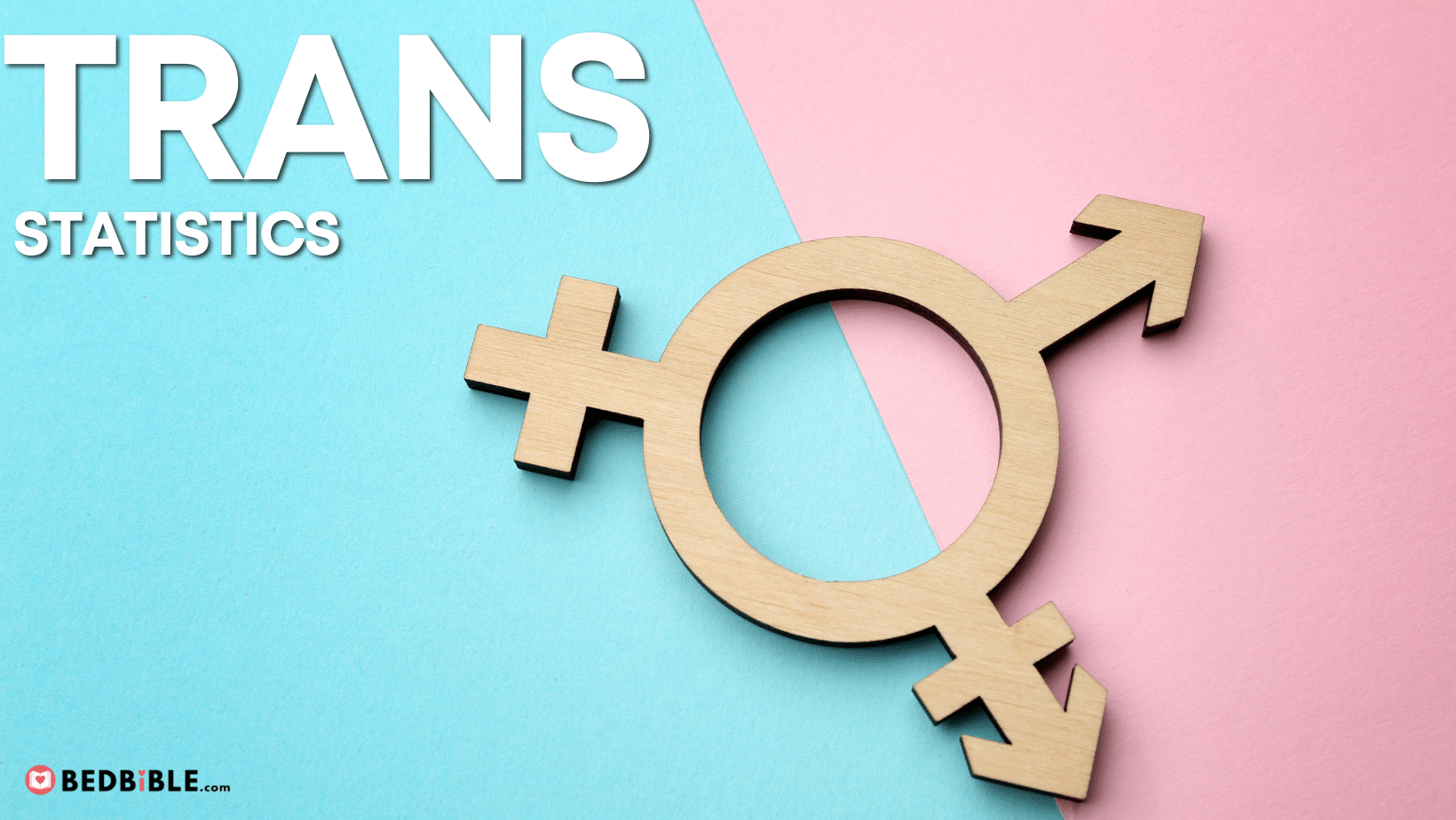 Transgender Statistics – What Percentage are Trans?