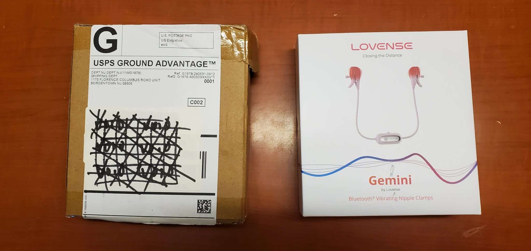 Lovense Gemini Packaging