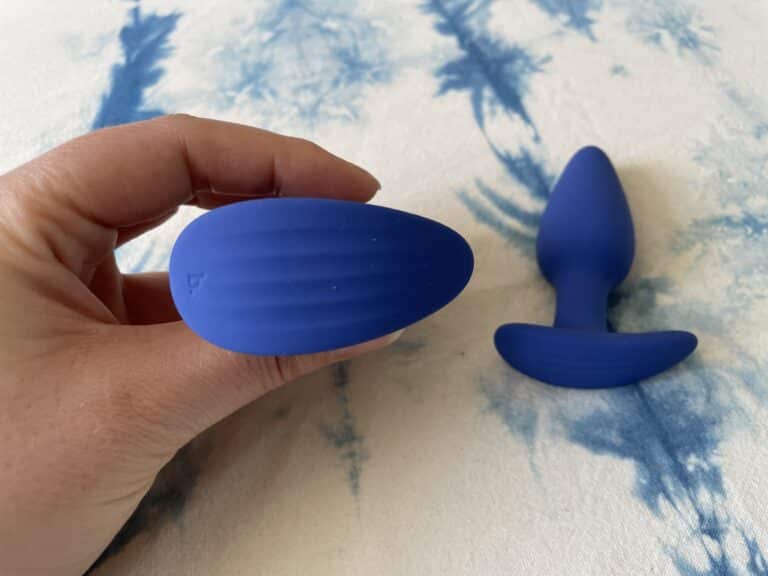 Biird Regii Butt Plug Set Review