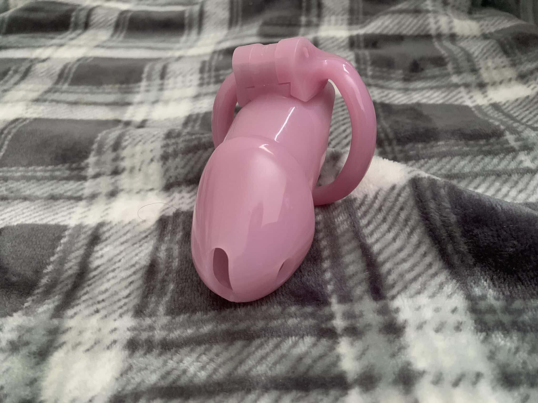 HolyTrainer Chastity Cage 