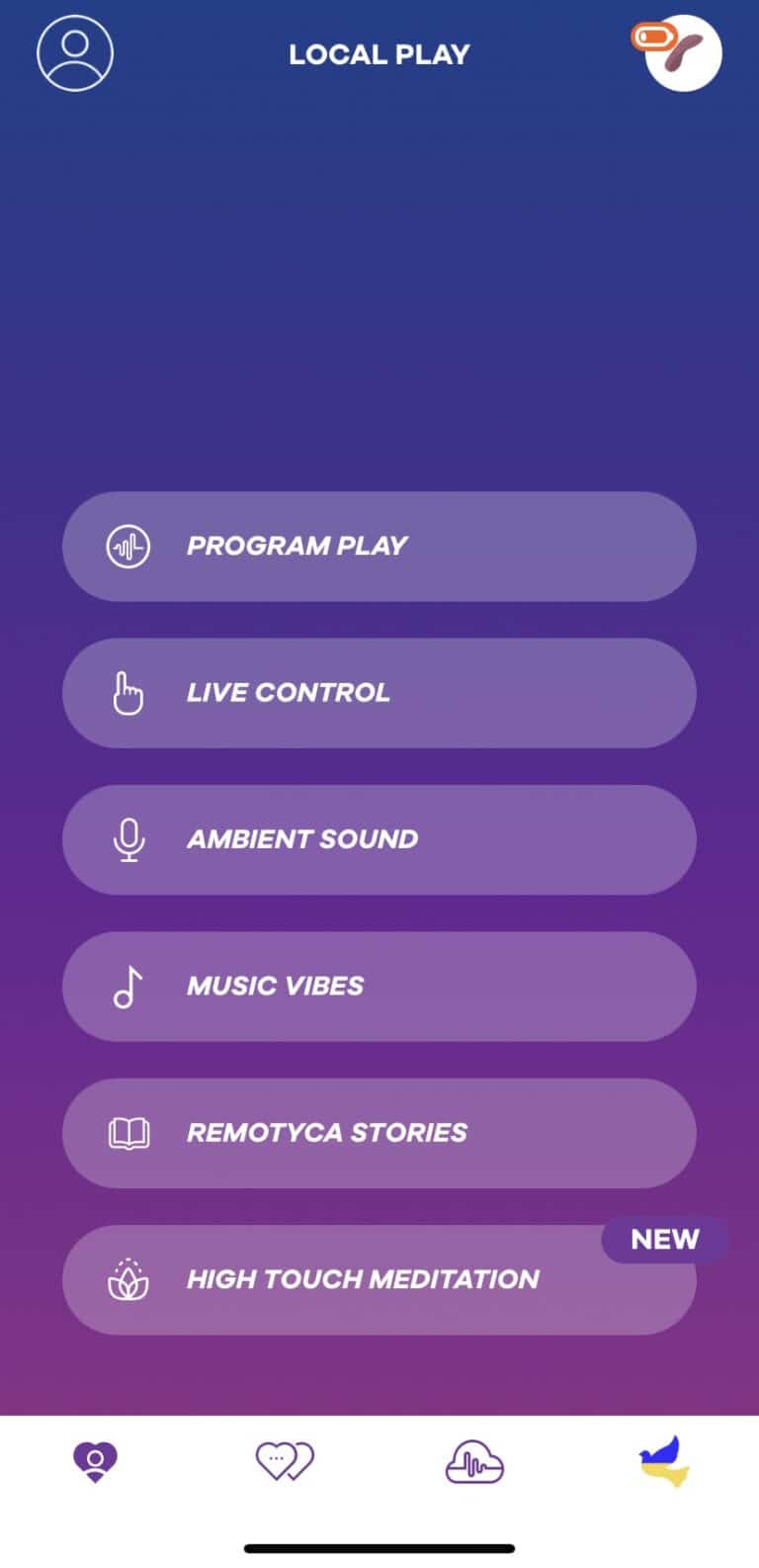 Satisfyer Sexy Secret Review