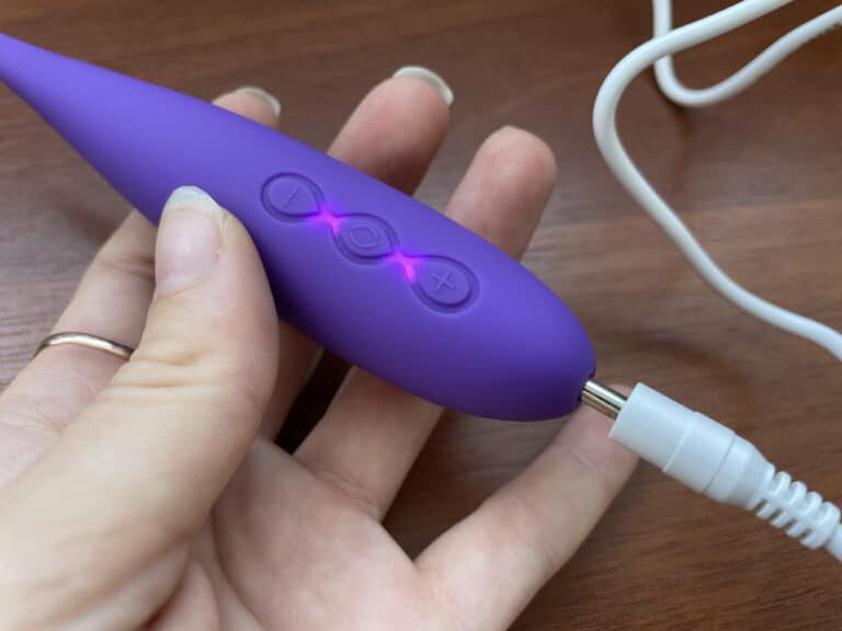 Lelo Dot Travel Review