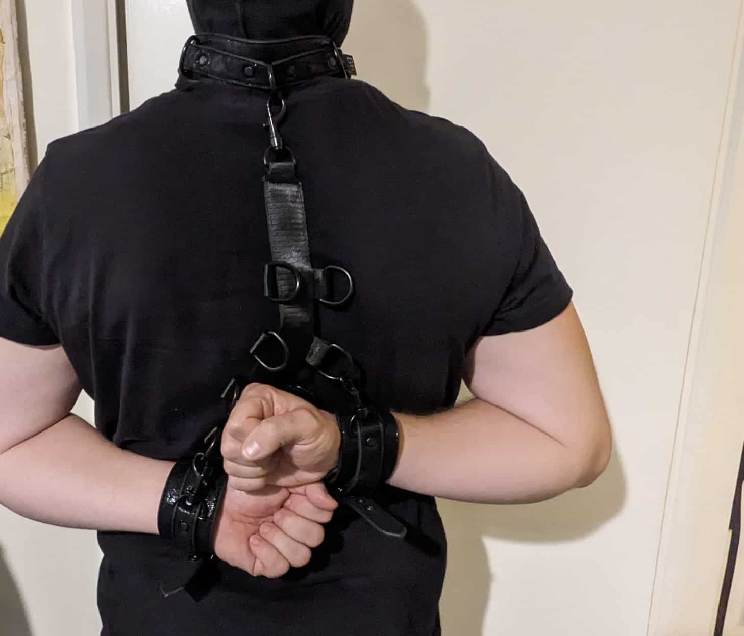 My Personal Experiences with Bondage Boutique Black Rose Restraints Harness