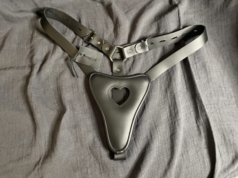 DOMINIX Deluxe Leather Lockable Female Chastity Belt - 