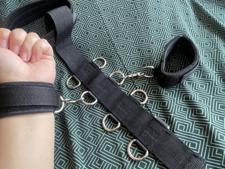Sportsheets Neck and Wrist Restraint Review