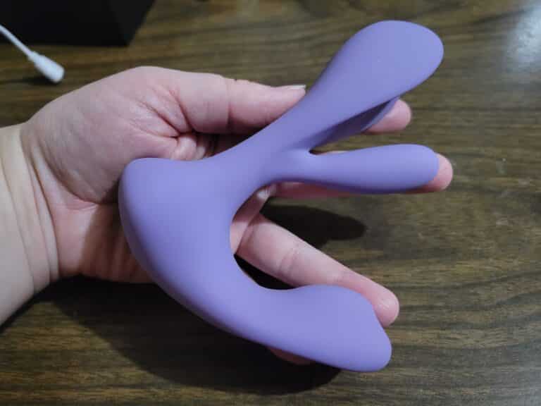 Tracy's Dog Swirlii - 