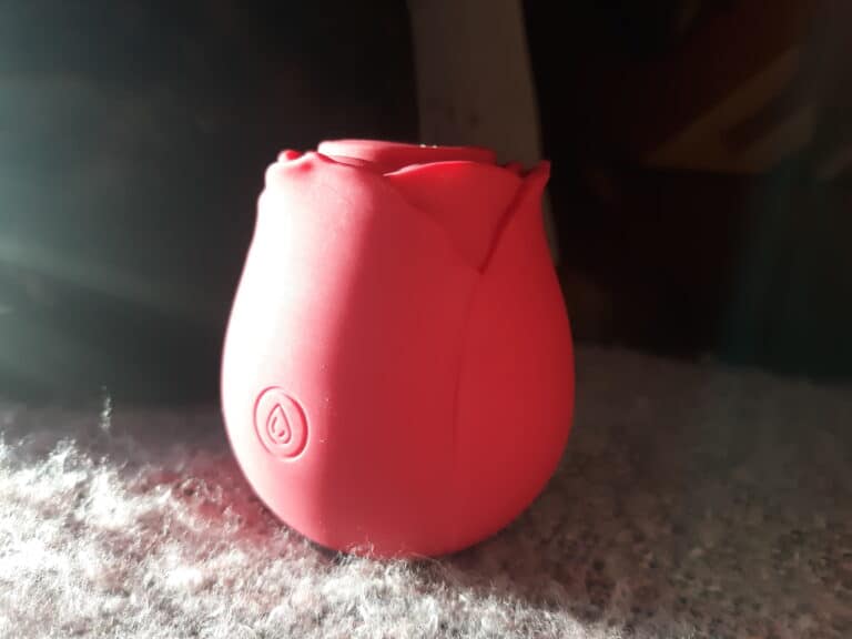 TooTimid Euphoria Rose - 