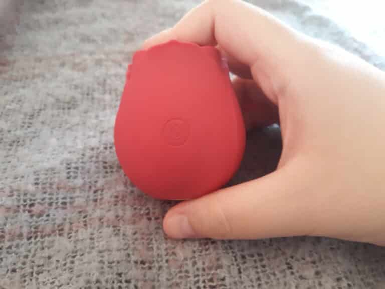 TooTimid Euphoria Rose - 