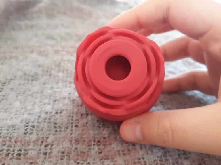 TooTimid Euphoria Rose - 