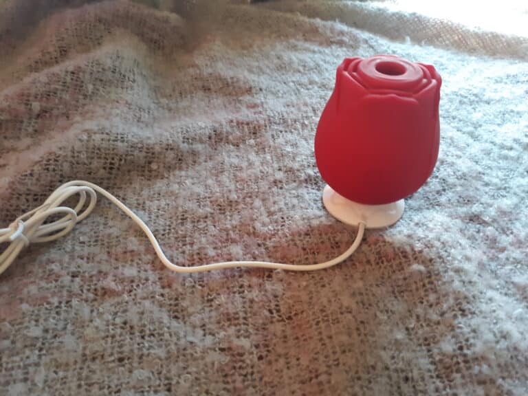 TooTimid Euphoria Rose -  