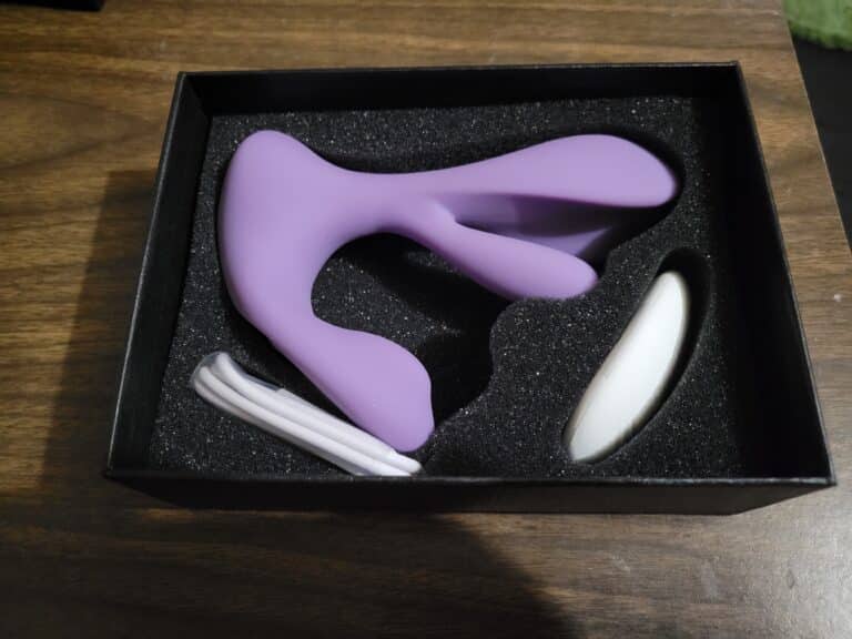 Tracy's Dog Swirlii - 