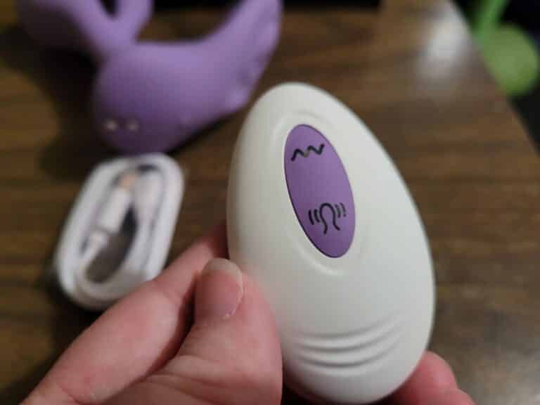 Tracy's Dog Swirlii - 