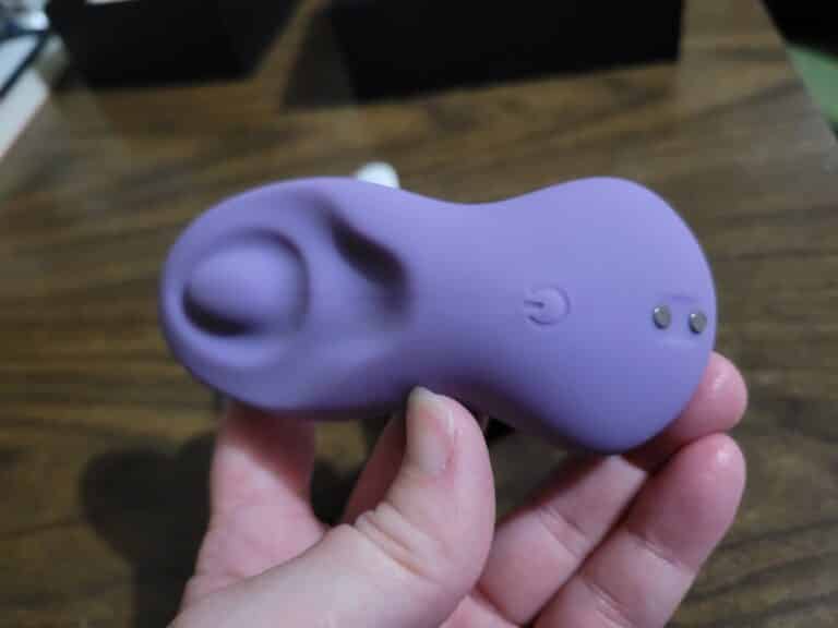 Tracy's Dog Swirlii - <