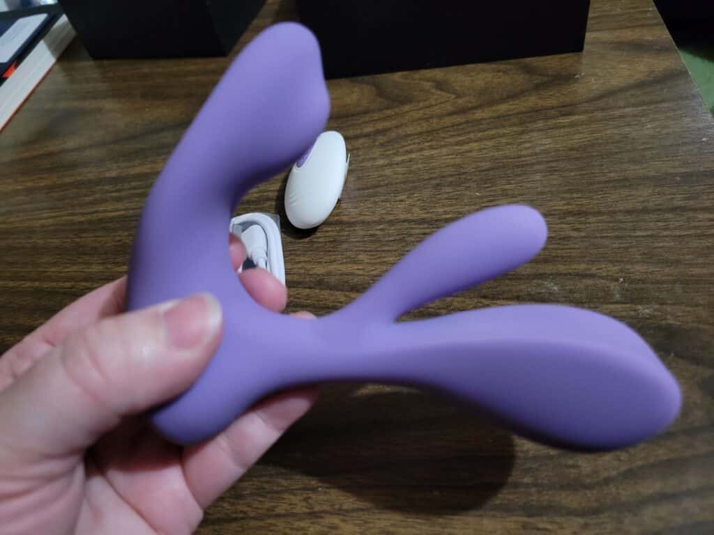 Tracy's Dog Swirlii - 