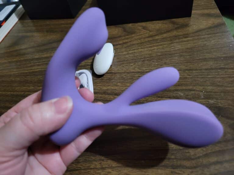 Tracy's Dog Swirlii - 