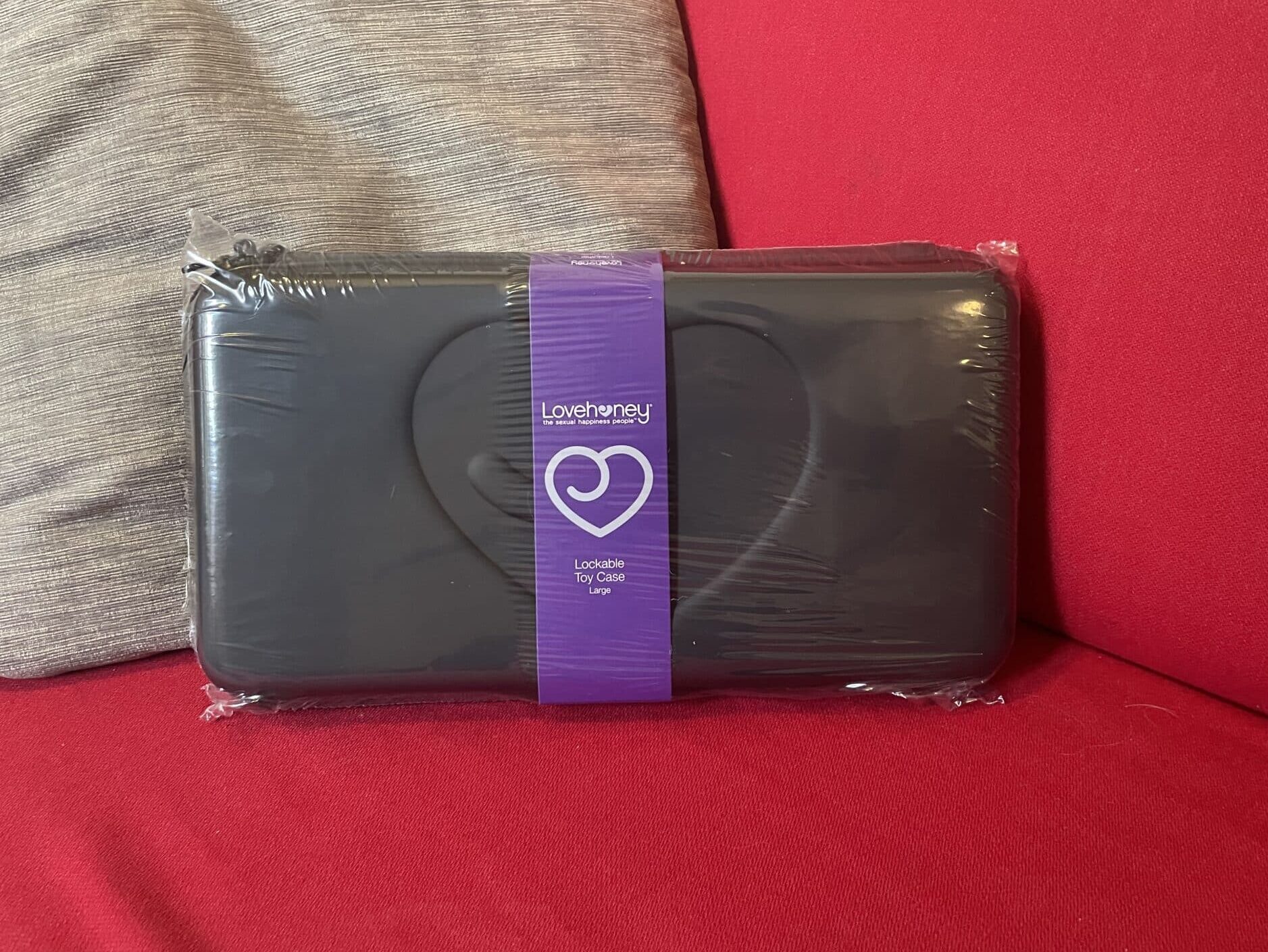 Lovehoney Lockable Sex Toy Case Large Review