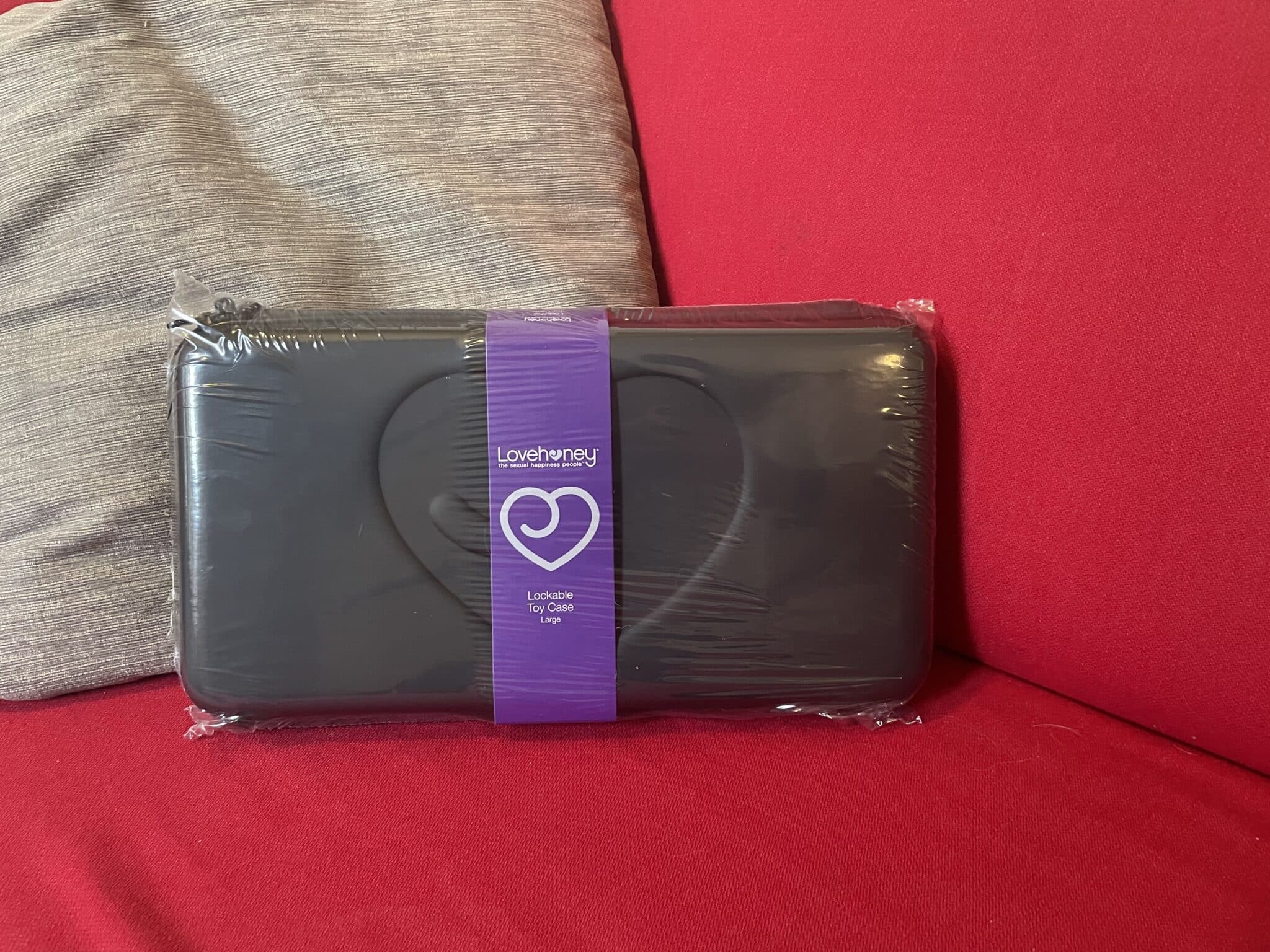 Lovehoney Lockable Sex Toy Case Large Review