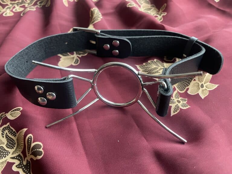 Fetish Fantasy Extreme Spider Gag Review