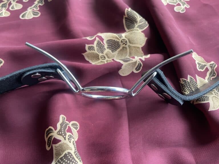 Fetish Fantasy Extreme Spider Gag Review