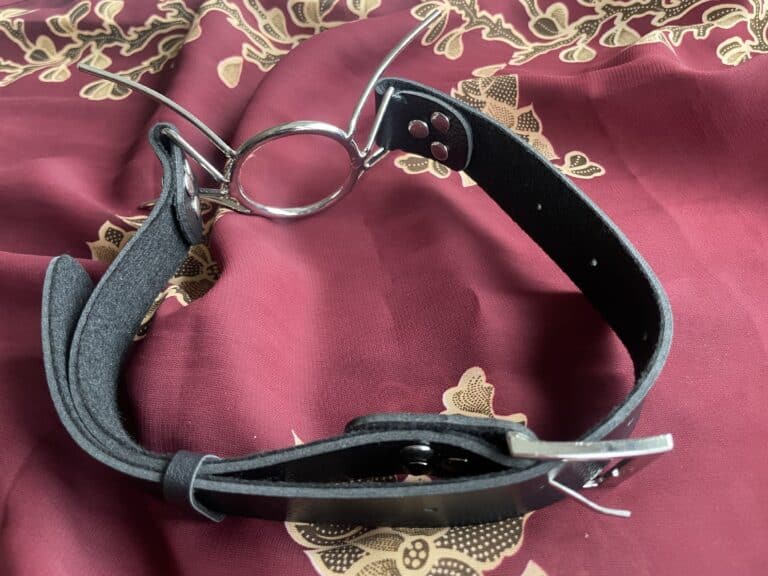 Fetish Fantasy Extreme Spider Gag Review