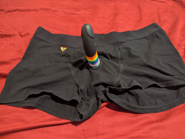 Wet For Her Boxer-Style Strap-On Harness Review