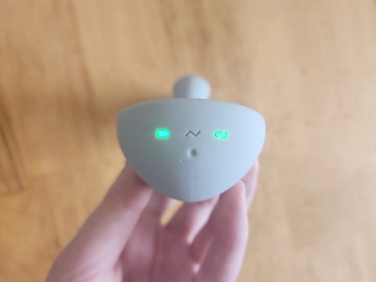 Lioness Smart Vibrator -  