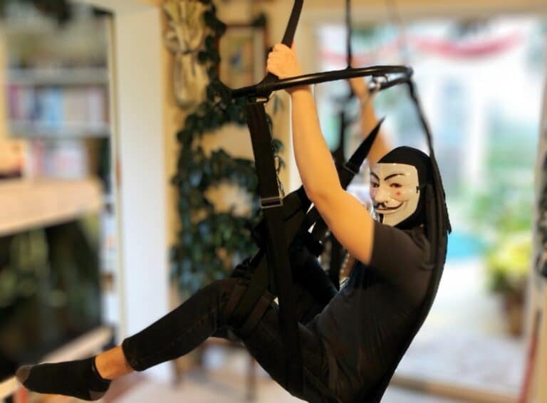 DOMINIX Deluxe Professional Bondage Sex Swing -  