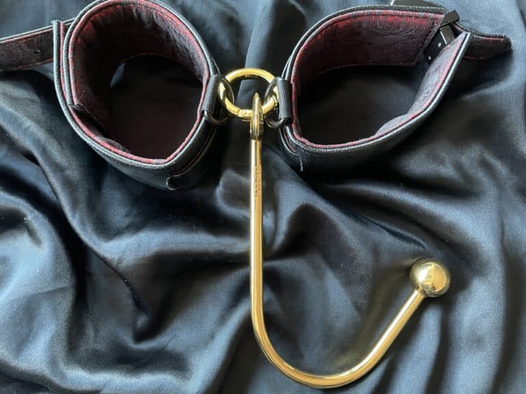UPKO Vaginal/Anal Hook Review