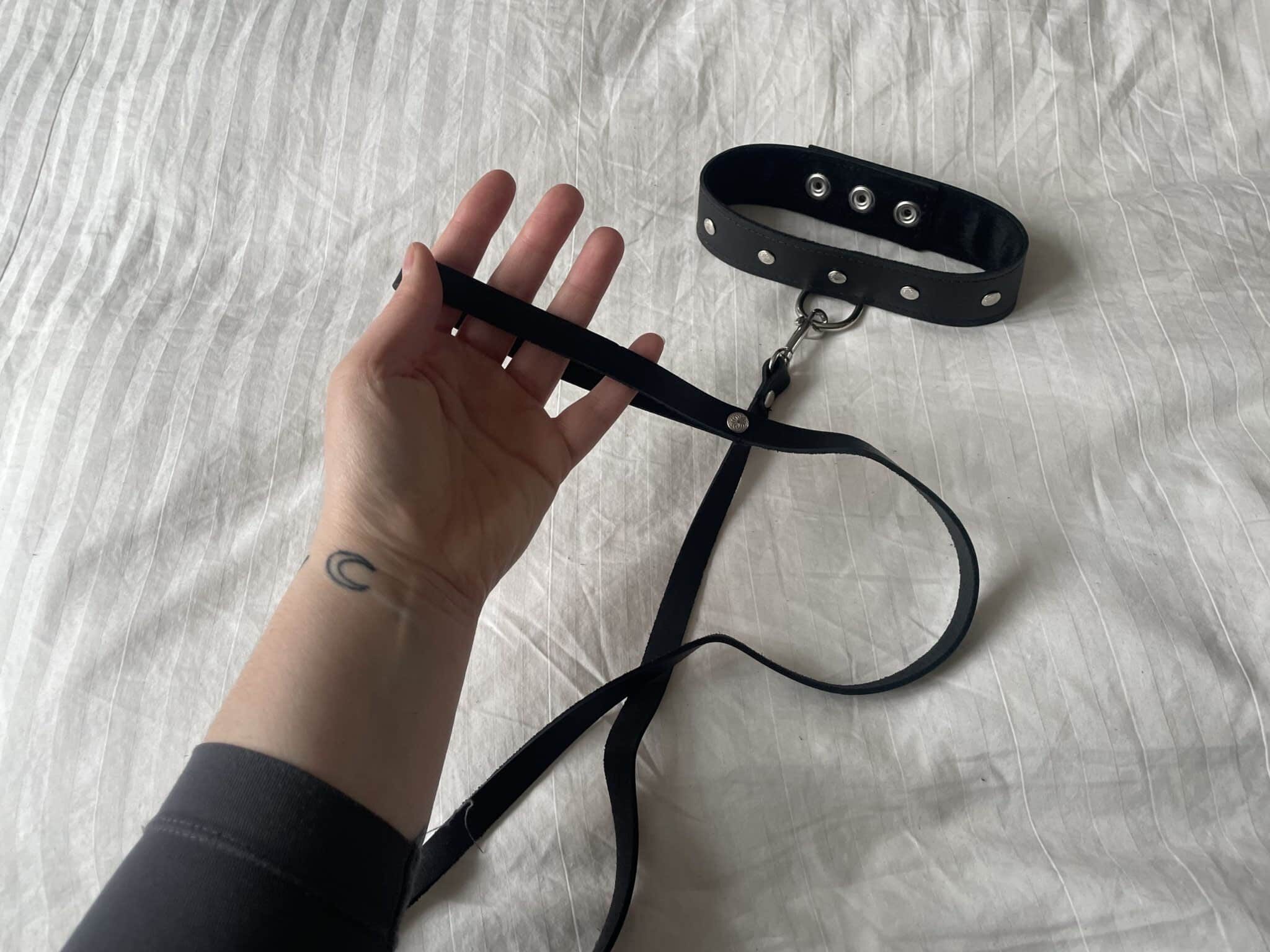 Sportsheets Leather Collar and Leash Review