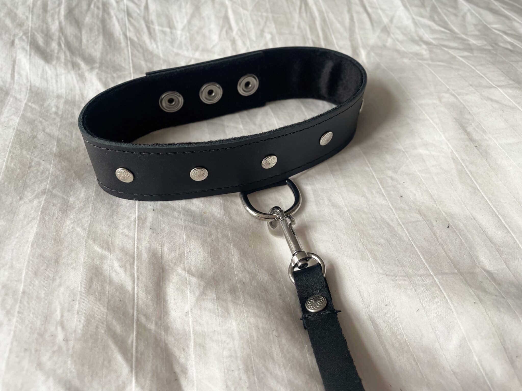 Sportsheets Leather Collar and Leash Design