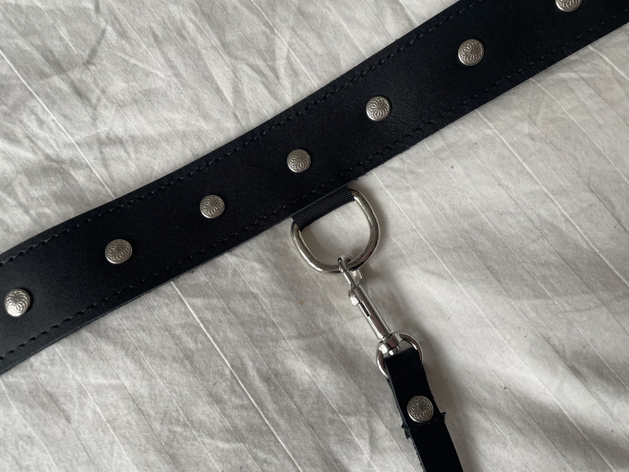 Sportsheets Leather Collar and Leash Quality